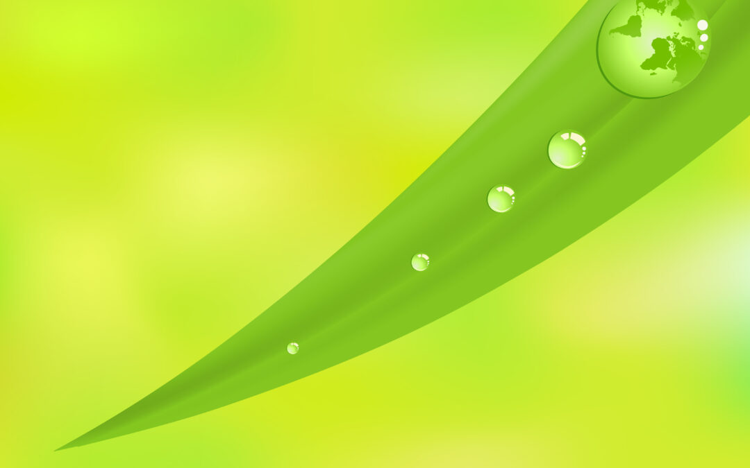 AERIUS Calculator 2025.3